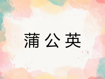 蒲公英