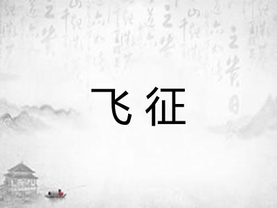 飞征
