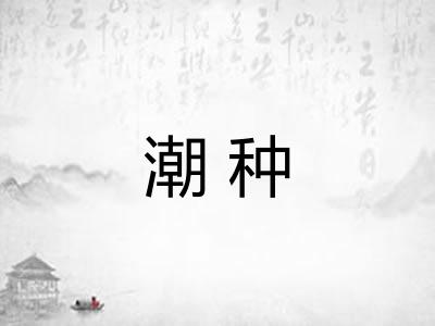 潮种