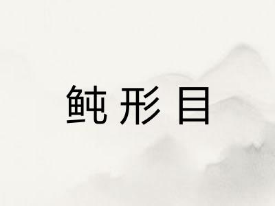 鲀形目