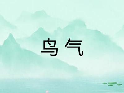 鸟气