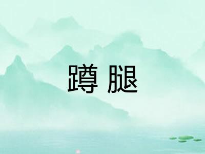 蹲腿