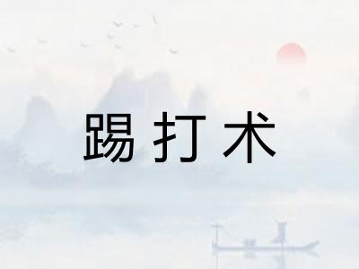 踢打术