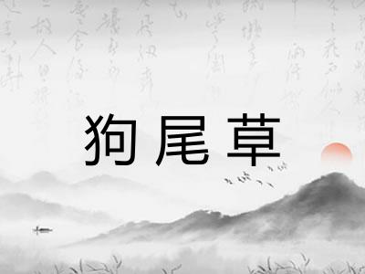 狗尾草