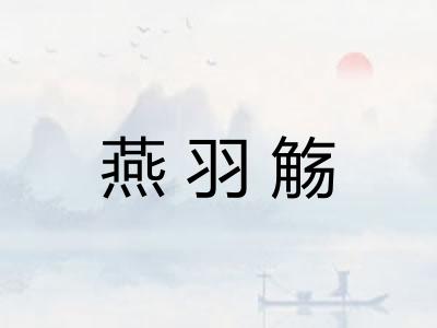 燕羽觞