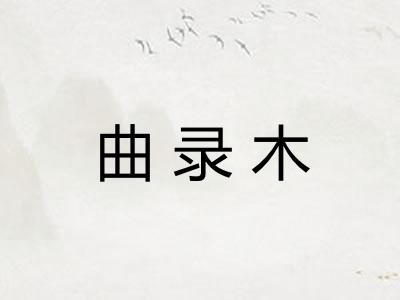 曲录木