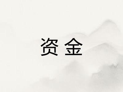 资金