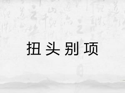 扭头别项