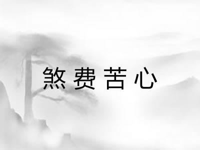 煞费苦心