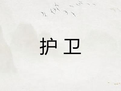 护卫