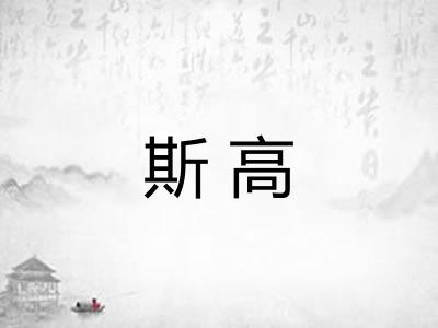 斯高