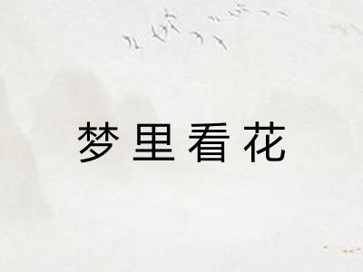 梦里看花