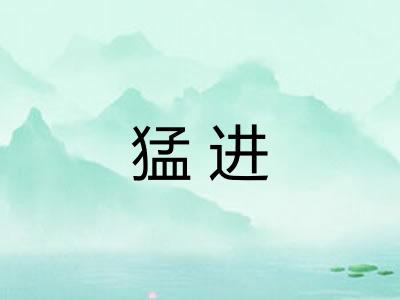 猛进