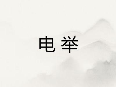 电举