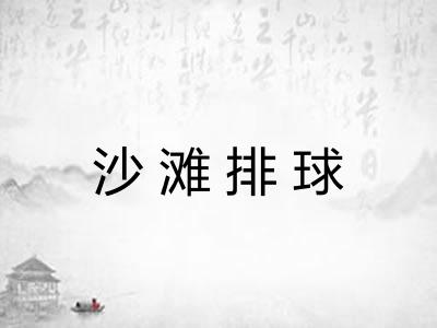 沙滩排球