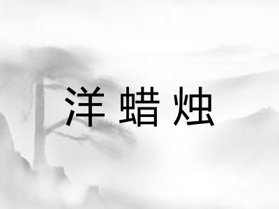 洋蜡烛