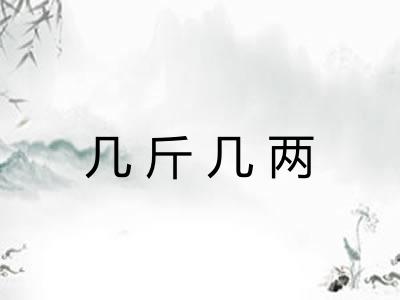 几斤几两