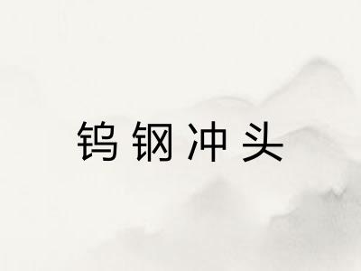 钨钢冲头