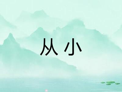 从小