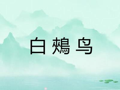 白鵊鸟