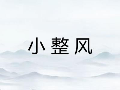 小整风