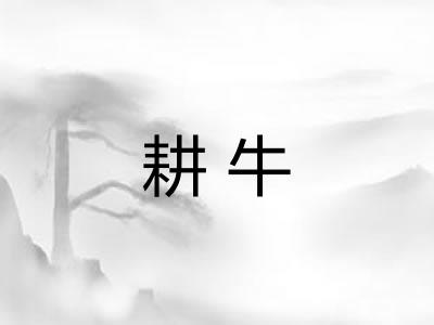 耕牛