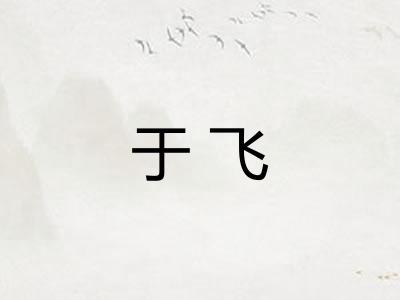 于飞