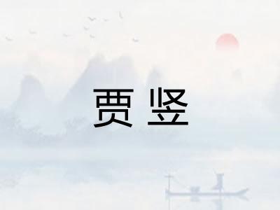 贾竖