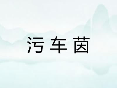 污车茵