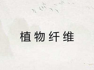 植物纤维