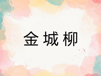 金城柳