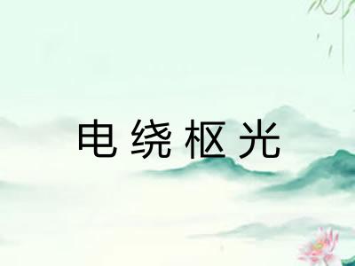 电绕枢光