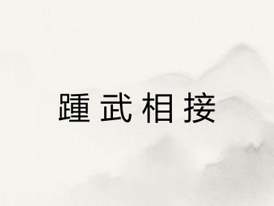 踵武相接