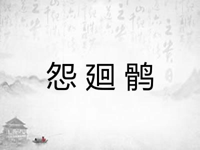 怨廻鹘