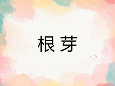 根芽