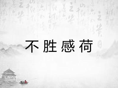 不胜感荷