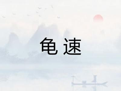 龟速
