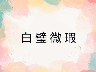 白璧微瑕