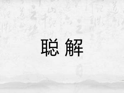 聪解