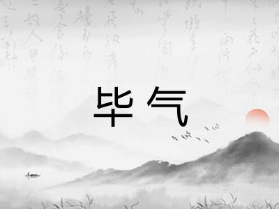毕气