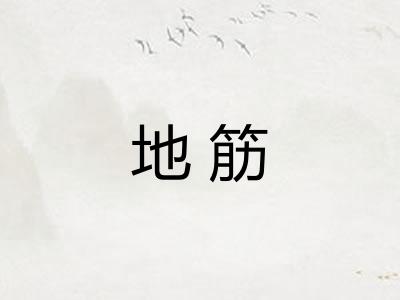 地筋