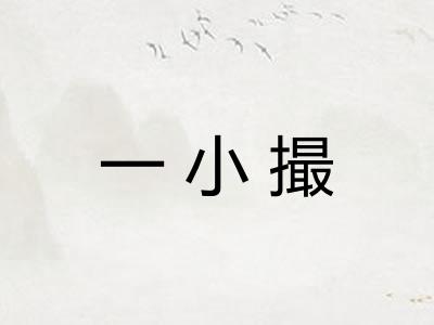 一小撮