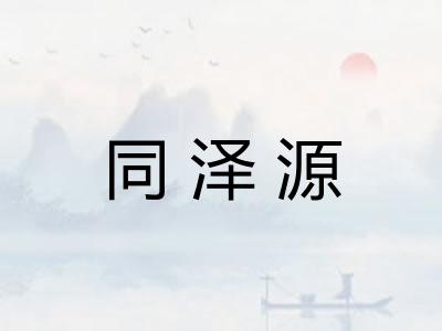 同泽源