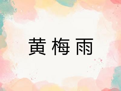 黄梅雨