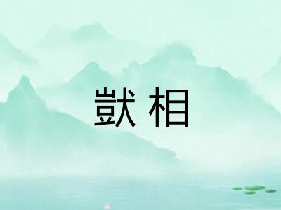 獃相