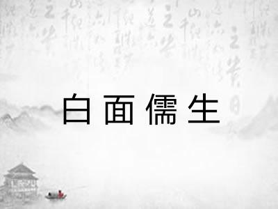 白面儒生