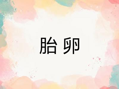 胎卵