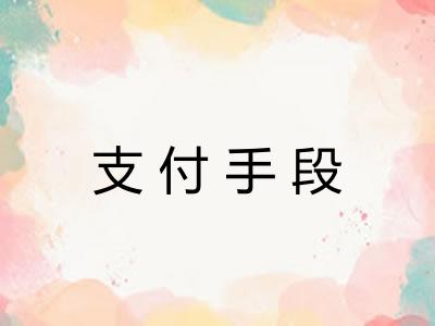 支付手段