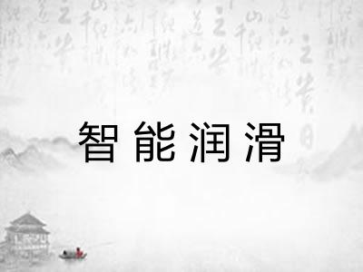 智能润滑