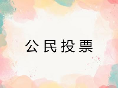 公民投票